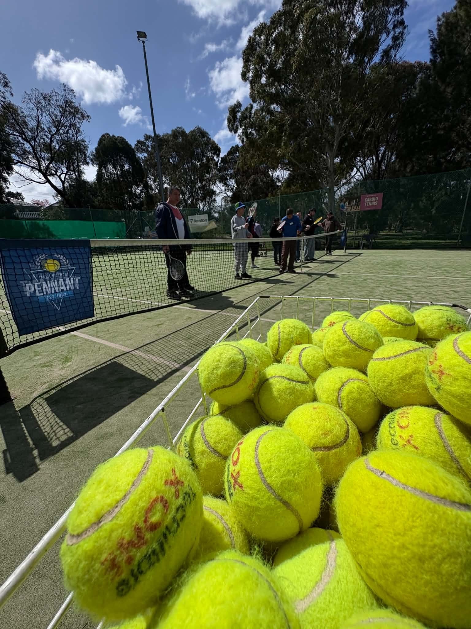 Tennis balls in a hopper with participants playing on the courts in the background
